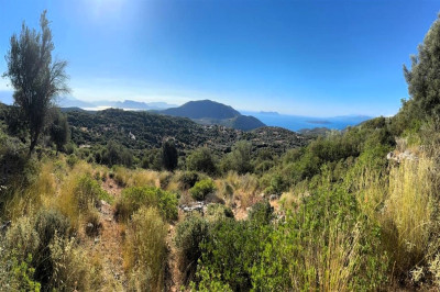 Fterno 180 Views 2.jpg